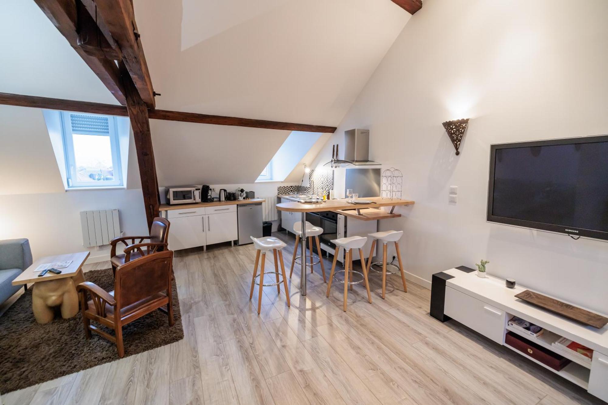 Residence Leclerc - Appartements D'Hotes - Secteur Thermal Nancy Eksteriør billede