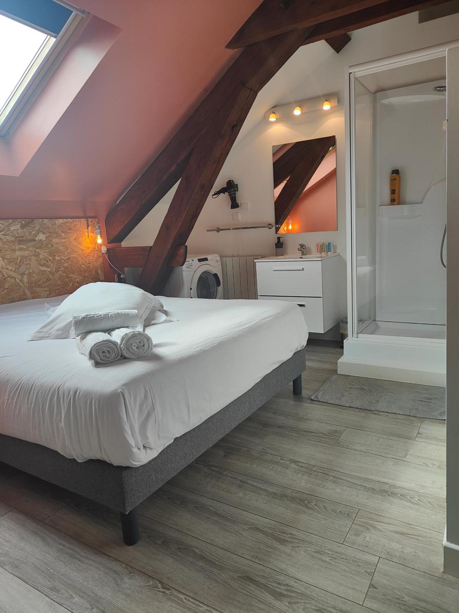 Residence Leclerc - Appartements D'Hotes - Secteur Thermal Nancy Eksteriør billede
